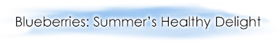 springsummer2012header
